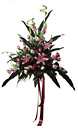 China- Standing Arrangement