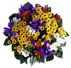 Bouquet Seasonal Flowers