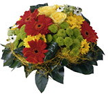 Arrangement Cut Flowers