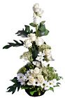 Arrangement Cut Flowers
