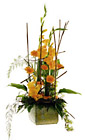 Finland- Arrangement of Cut Flowers