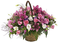 Israel- Arrangement in Pink