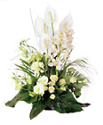 Italy- Arrangement of Cut Flowers