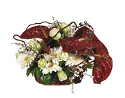 Italy- Christmas Arrangement