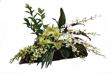 Indonesia- Arrangement of Orchids