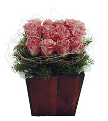 Rose Arrangement
