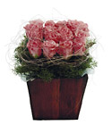 Rose Arrangement