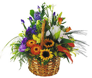 Basket Arrangement