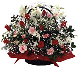 Japan- Christmas Arrangement