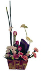 Basket Arrangement with Teddy
