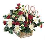 Candy Cane Lane Arrangement