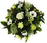 Netherlands- Mixed White Flowers