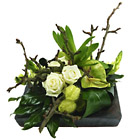 Netherlands- Arrangement of Cut Flowers
