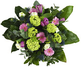 Netherlands- Mixed Pink Flowers