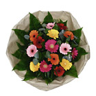 Netherlands- Bouquet of Mixed Gereberas