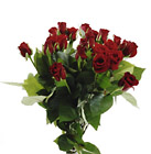 Netherlands- Bouquet of Red Roses