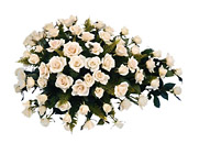 Netherlands- Funeral Arrangement