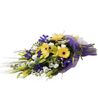 Cut Flowers