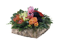 Pacific Basket