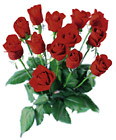 Norway- Bouquet of Roses