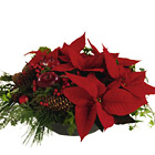 Norway- Christmas Arrangement