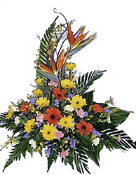 Malaysia- Seasonal Arrangement