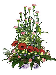 Malaysia- Mixed Arrangement