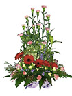 Malaysia- Mixed Arrangement