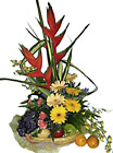 Malaysia- Fruits and Flowers