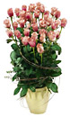 Poland- Wedding Bouquet