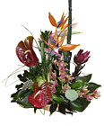 Portugal- Cut Flower Arrangement