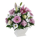 Mixed Pot Arrangement