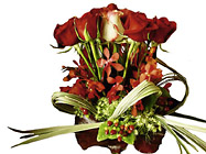 Romance Arrangement