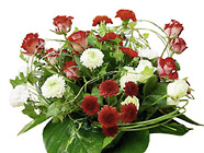 Celebration Arrangement