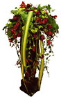 Royal Flower Arrangement