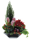 Sweden- Christmas Arrangement
