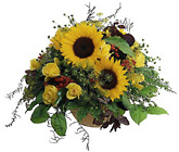 Switzerland- Seasonal Flowers