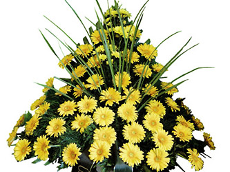 Slovenia- Funeral Spray
