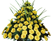 Slovenia- Funeral Spray