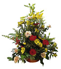 Austria- Arrangement of Cut Flowers