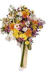 Azerbaijan-Seasonal Flowers