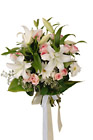 Turkey- Plant Arrangement