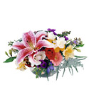 Haiti-Angelique Bouquet