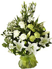 Luxury White HT