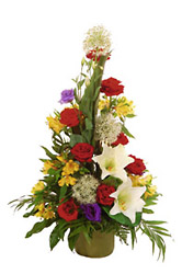Ukraine- Cut Flowers