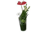 Egypt- Arrangment of Cut Flowers