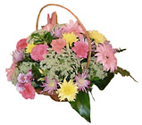 Egypt- Arrangment of Cut Flowers
