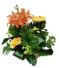 Egypt- Arrangment of Cut Flowers