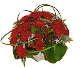 Belgium- Valentine's Arrangement