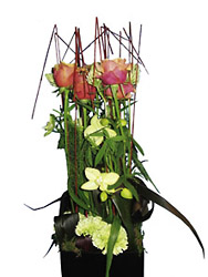 Arrangement of Cut Flowers